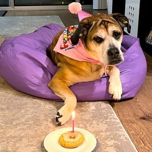 Meet your Posher, Erika